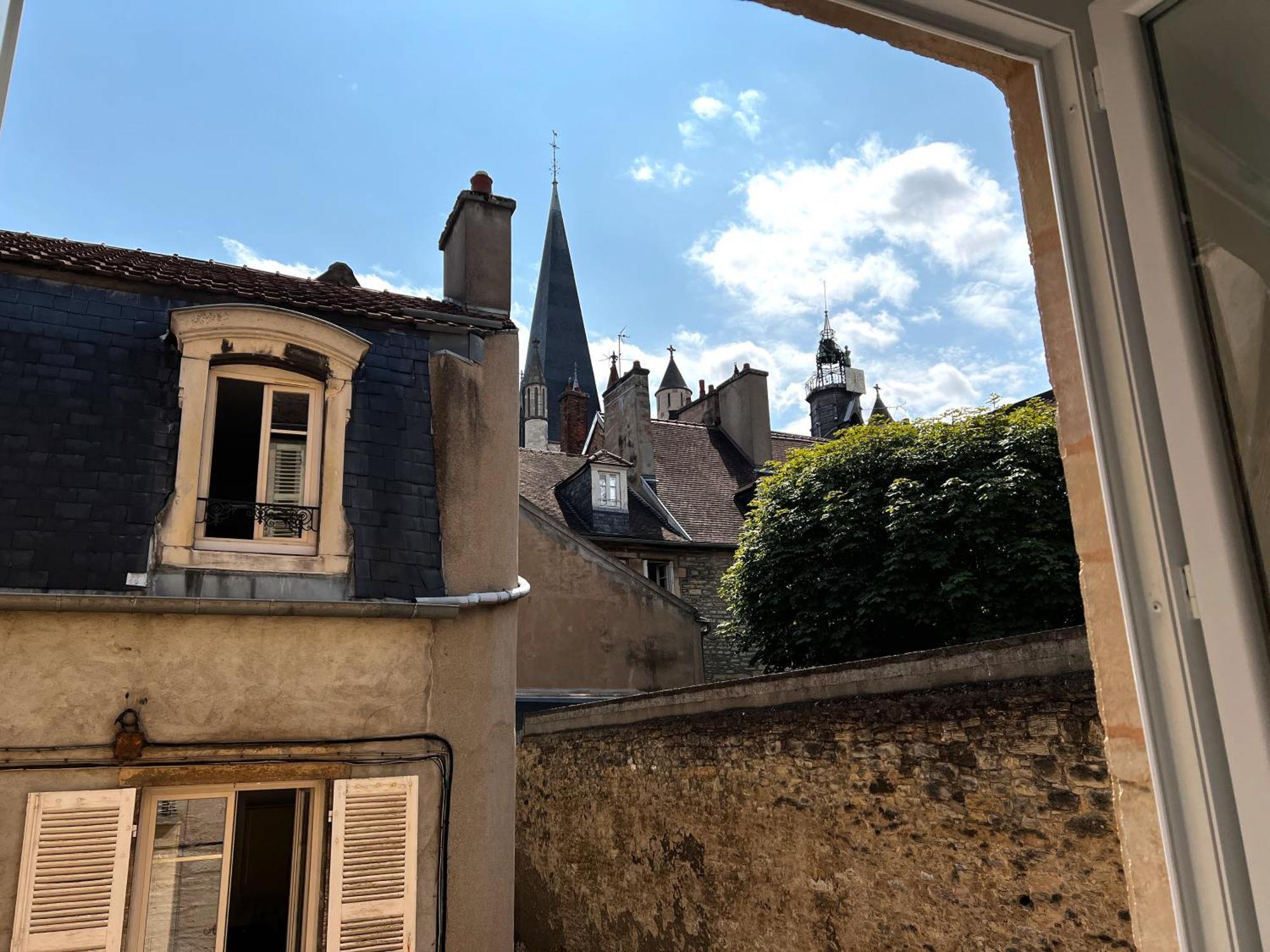 Le Petit Palais Notre Dame - Heart Of Dijon - With Ac公寓 外观 照片